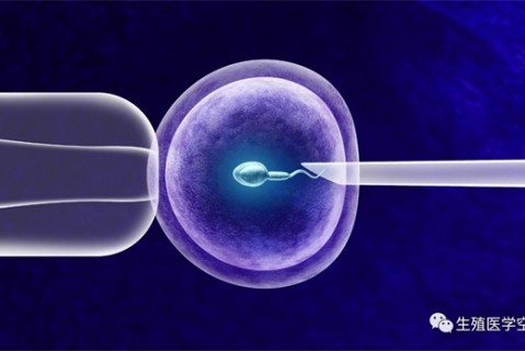女人西安代生孩子的最佳年龄段 一辈子生几个孩子最好
